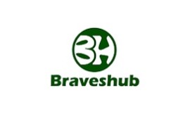 Braveshub